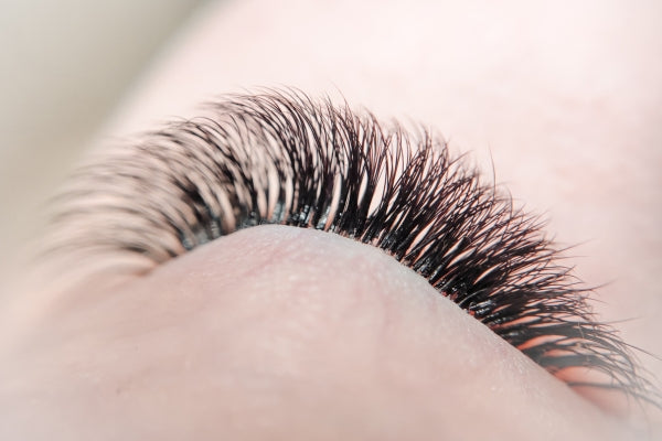 Empowering Lash Artists: The Mish Esthetics Approach to Lash Extensions & Brows