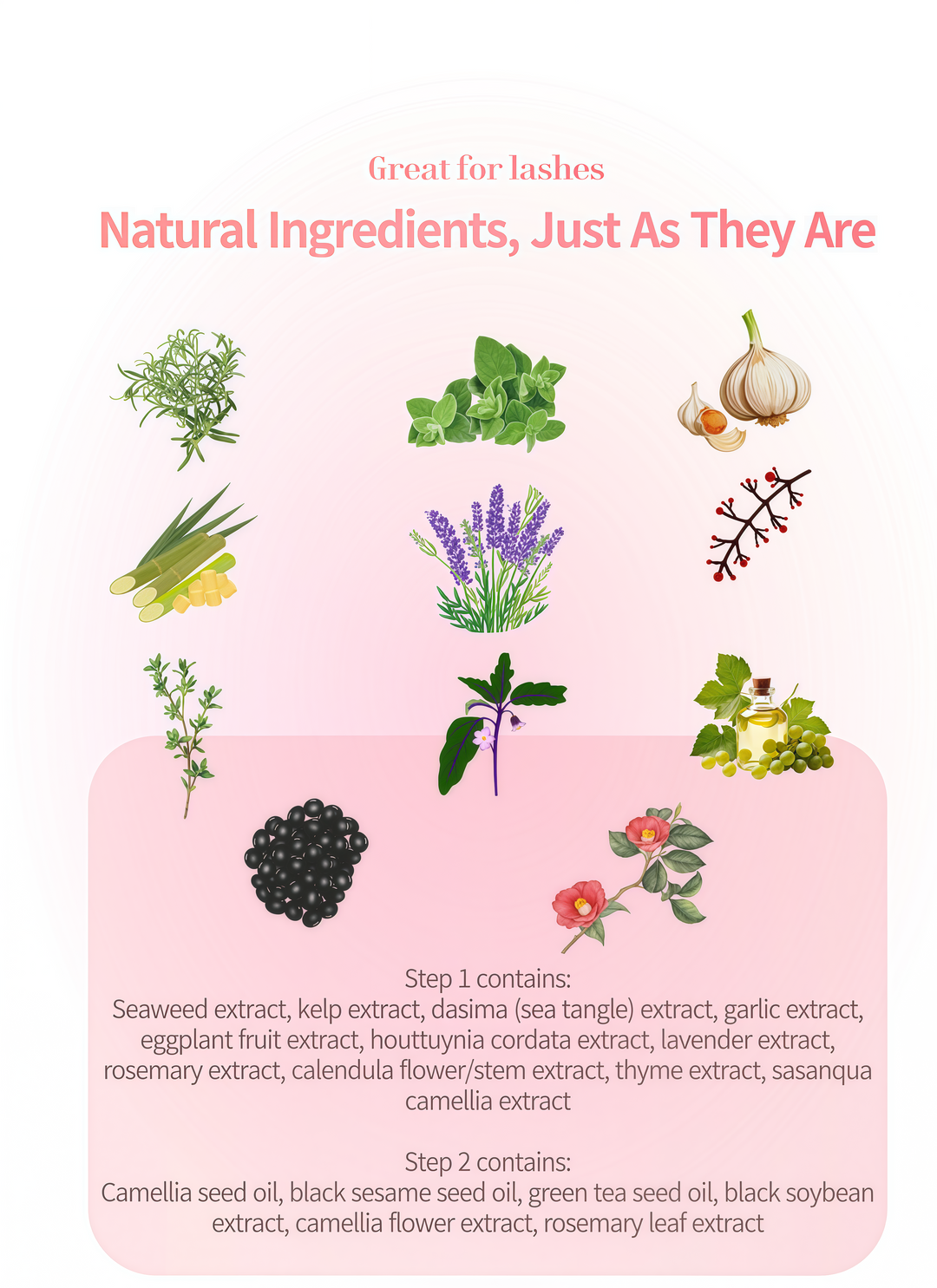 PREORDER Early Shop Lift Perm Solution