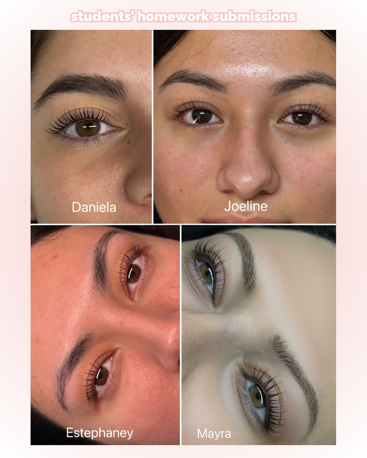 Korean Lash Lift Online Course