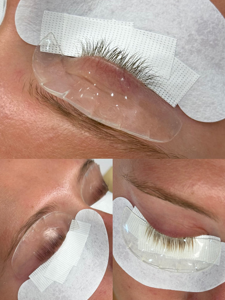 Early Shop Mandu Softening Shield