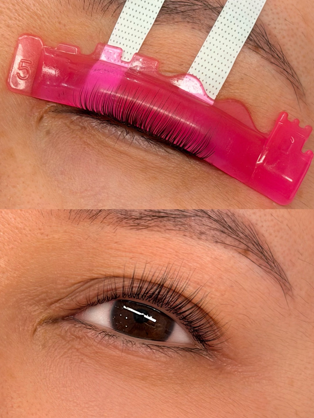 Majestie - M curl rod